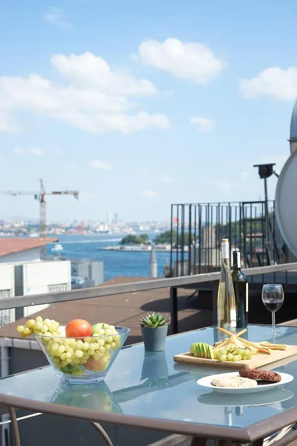 Briva Apartment Istanbul 0*,
