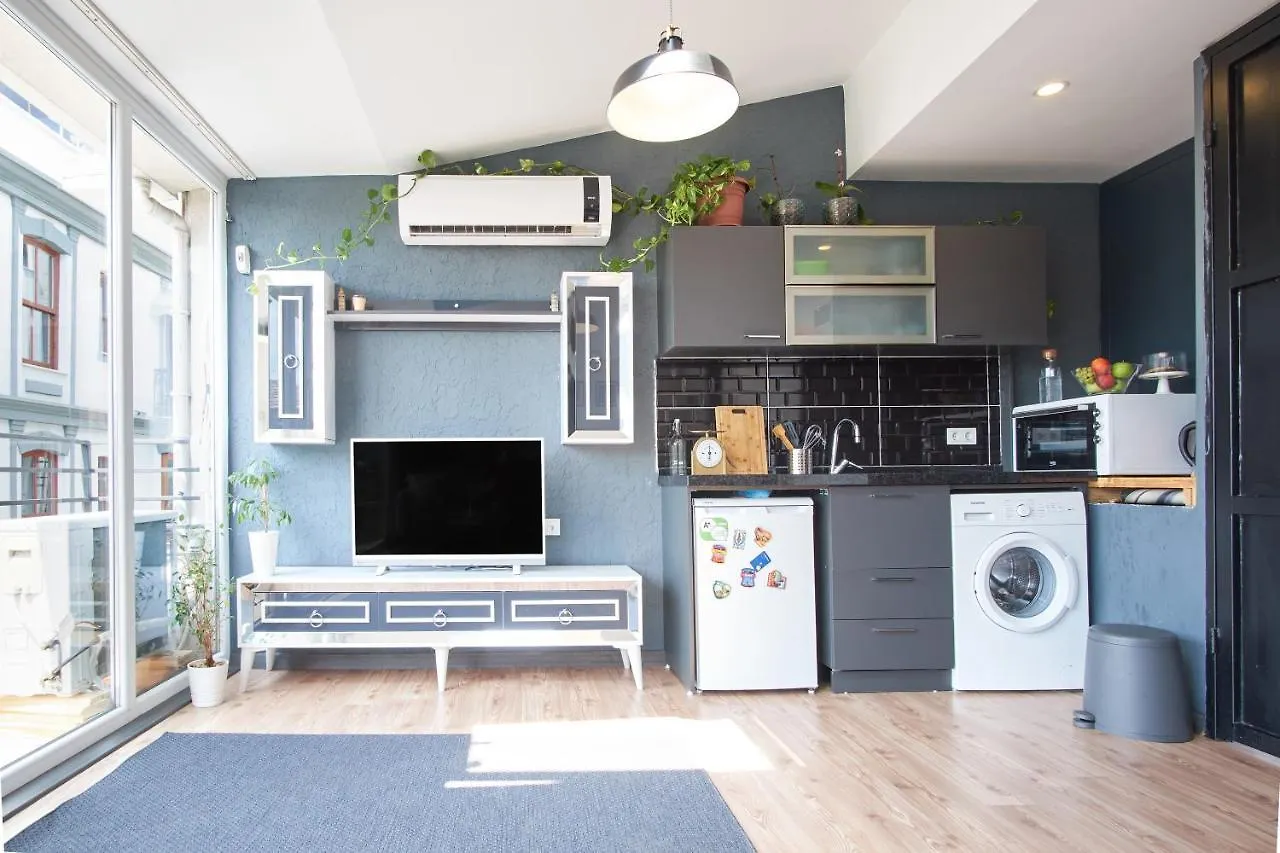 Briva Apartment Istanbul Turkey
